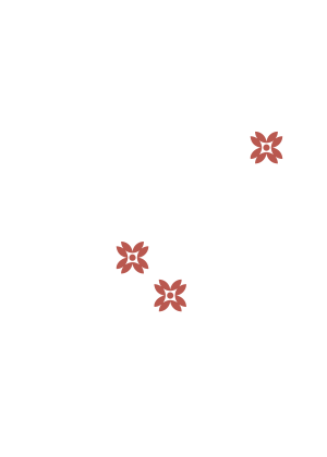 flores rosa lateral 1