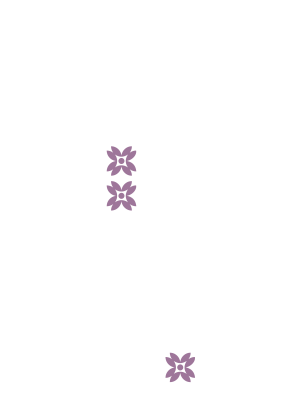 flores violet lateral 1