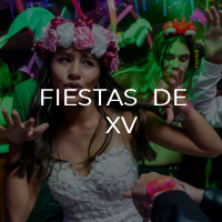 f xv gris